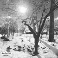 Sun Cut Flat - Come So Far