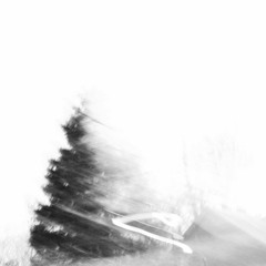 The Aurora Principle - Sen (SineRider Remix)