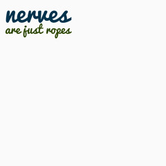 Nerves Are Just Ropes