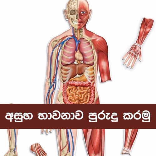 Shraddha fm online
