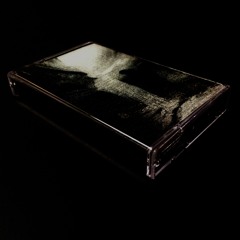 [ER-40] SPT - Lazarev Ice Shelf (Excerpt)