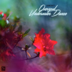 Aumcraft - Underwater Dance (Original Mix) [Incepto Smooth]