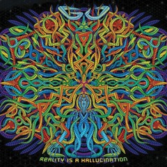 Gu - Reality is a Hallucination