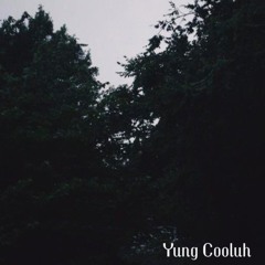 Yung Cooluh - Poor City