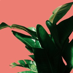 PARTYNEXTDOOR ft. Drake - Come and See Me (Cover) - Tim T