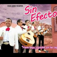 Sin Efectos - Linóleo(cover Of NOFX Linoleum)