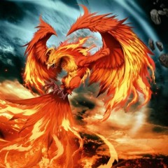 Musk, Chiko - Feniks