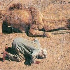 Tum Ek Gorakh Dhandha Ho.MP3