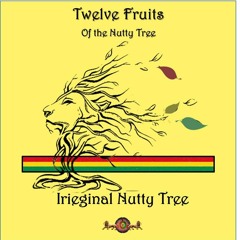 12 Fruits of the Nutty Tree (EP Teaser) / OUT ON SVAHA