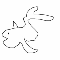 Swim With Dolphin