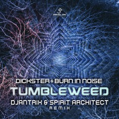 Dickster & Burn In Noise -Tumbleweed(Djantrix & Spirit Architect RMX)