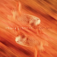 This is what happens when I discover Radio 3's Late Junction