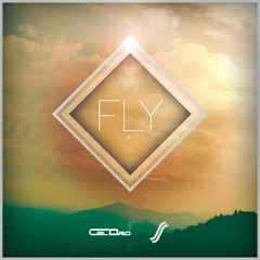 Slinz & CelDro - Fly