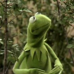 Kermit - Luke Bryan - Huntin' Fishin' And Lovin' Every Day
