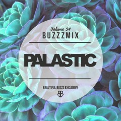 Buzzzmix Vol. 24 - PALASTIC