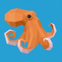 The 8-Bit Octopus