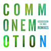 Rudimental Ft Mnek Common Emotion The Golden Pony Remix Mp3