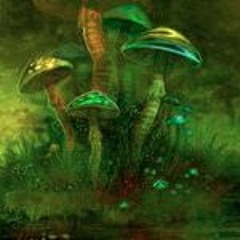 Sloppy Jo`ez (sample)