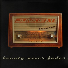 Junkie XL - Beauty Never Fades (GmT - Aesthetic remix). FREE DOWNLOAD!