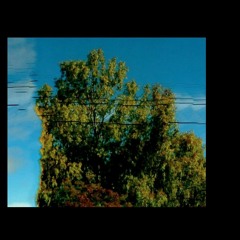 Panda, I'm Lonely With You