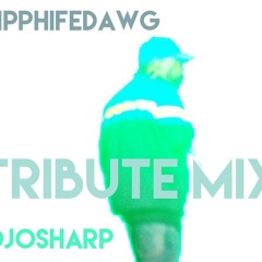 PHIFE DAWG TRIBUTE @DJOSHARP #RIP 3 22 16