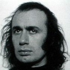 Vito Acconci  On Architecture Landscape and Quilts