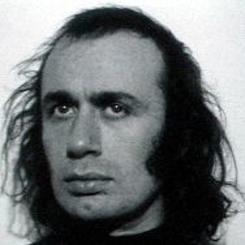Vito Acconci  On Architecture Landscape and Quilts