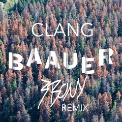 Baauer - Clang (3B0NY Remix)