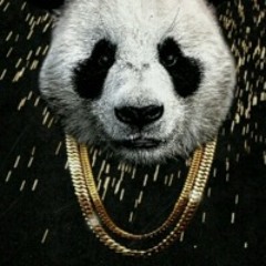 Panda Freestyle