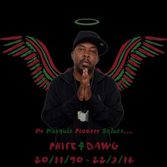 Mr Marquis' Phife Dawg/ATCQ Pioneer Salute Mix