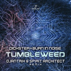 Dickster & Burn In Noise  - Tumbleweed (Djantrix & Spirit Architect Rmx)