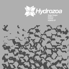 Polanski - Sunju Hargun, Eekkoo, Forrest - Kubrick EP - Hydrozoa
