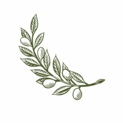 Olive Branch