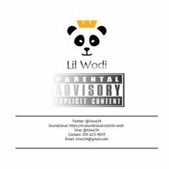 Lil Wodi ft. Shad - My Love (The One)