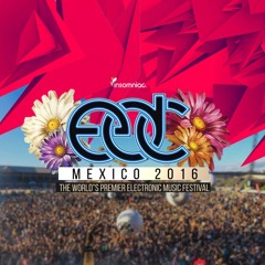 °Electric Daisy°