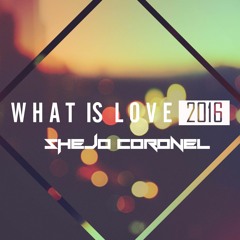 What Is Love 2016