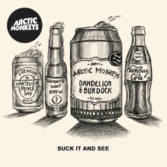 Suck It and See - Arctic Monkeys (Cover)