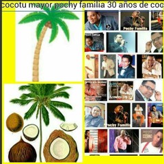 Pochy familia y su coco band,,,,,,detente (salsa) canta Henry garcia.  DJ junior 100xciento