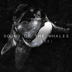 SOUND OF THE WHALES 001