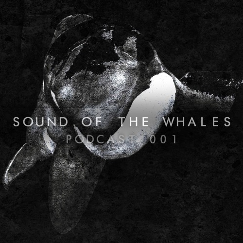 SOUND OF THE WHALES 001