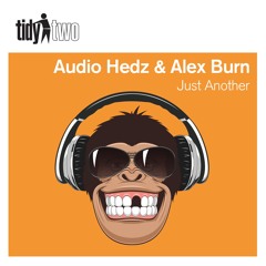 TIDYTWO148: Audio Hedz Alex Burn - Just Another (RELEASED 28.03.16)