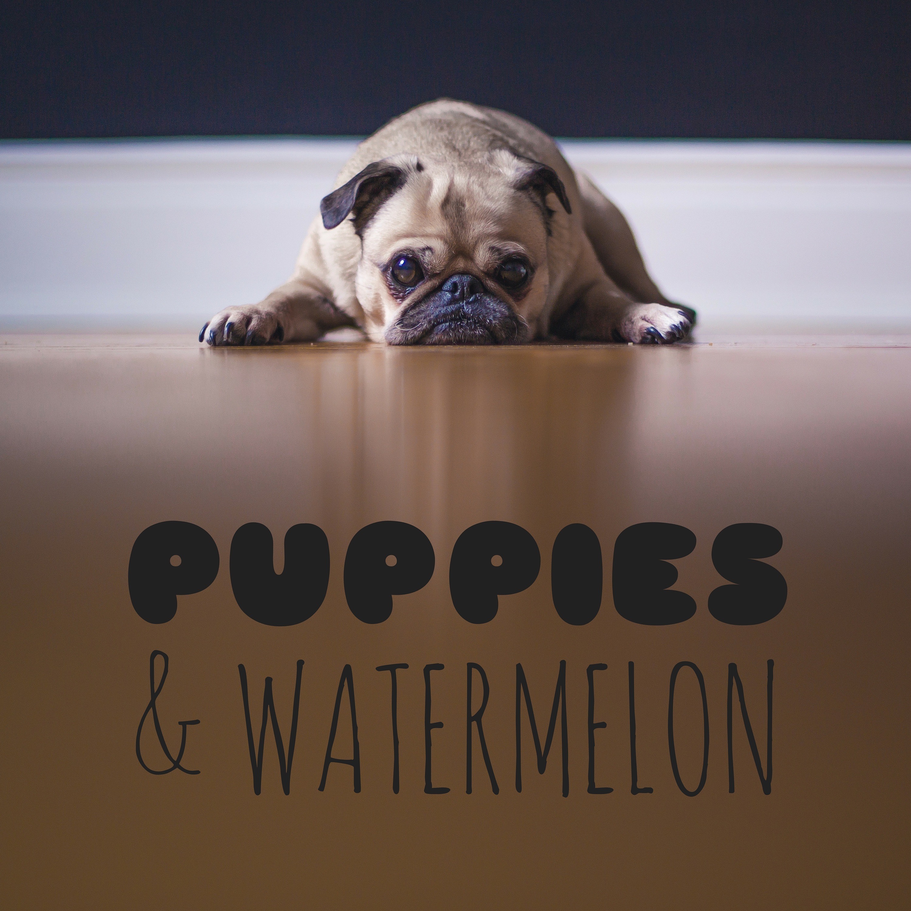 Puppies and Watermelon