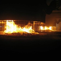 SET 07-03-16 (Vinyl set)