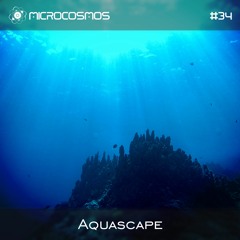 Aquascape - Microcosmos Chillout & Ambient Podcast 034