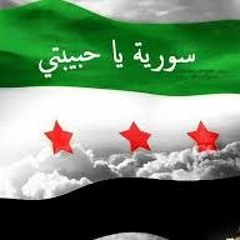 نصف ساعة...أحمد كامل: بدون رحيل الأسد الثورة مستمرة ، ما مصير اللاجئين بعد  هجمات بروكسل ؟