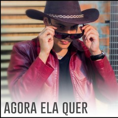 CD Sertanejo - Agora Ela Quer