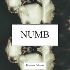 Numb Acoustic Cover - without vocals