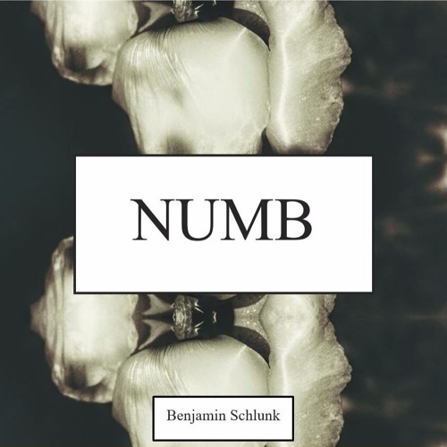 Numb Acoustic Cover - without vocals