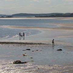 Torn - End Theme - Effected Mix