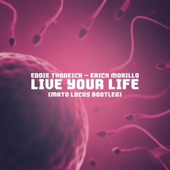 Eddie Thoneick & Erick Morillo - Live Your Life (MaTo Locos BOOTLEG)